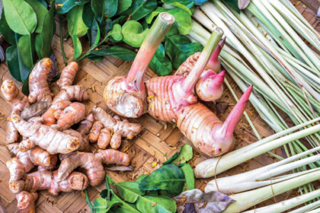 Grow Your Own Turmeric and Ginger